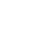 Food Security & Basic Needs